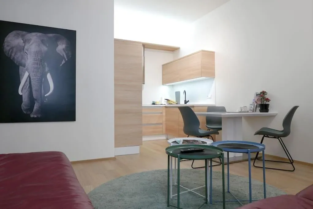 Accommodation in the heart of Brno — 6