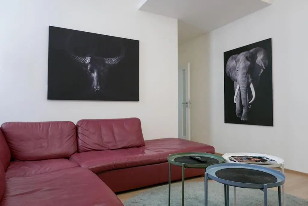 Accommodation in the heart of Brno — 5
