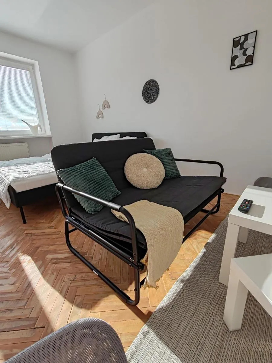 Apartman Březinova — 7
