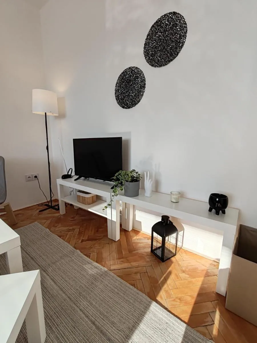 Apartman Březinova — 5