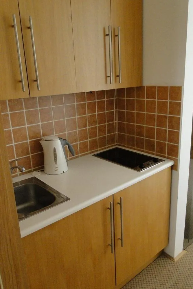 Apartman Brno Stred — 5