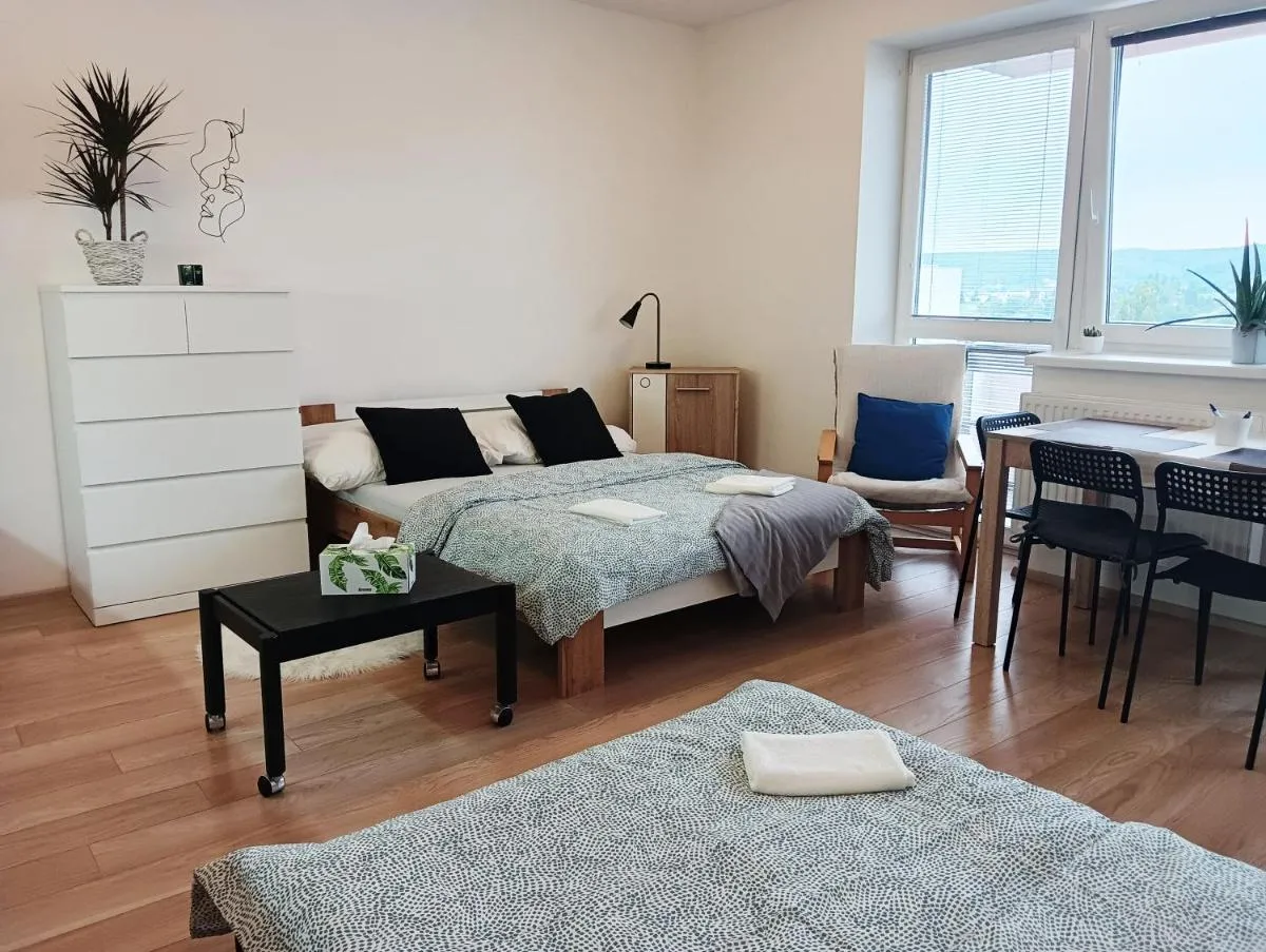 Apartman Bystrc — 4