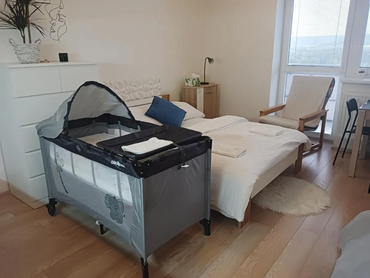 Apartman Bystrc — 7