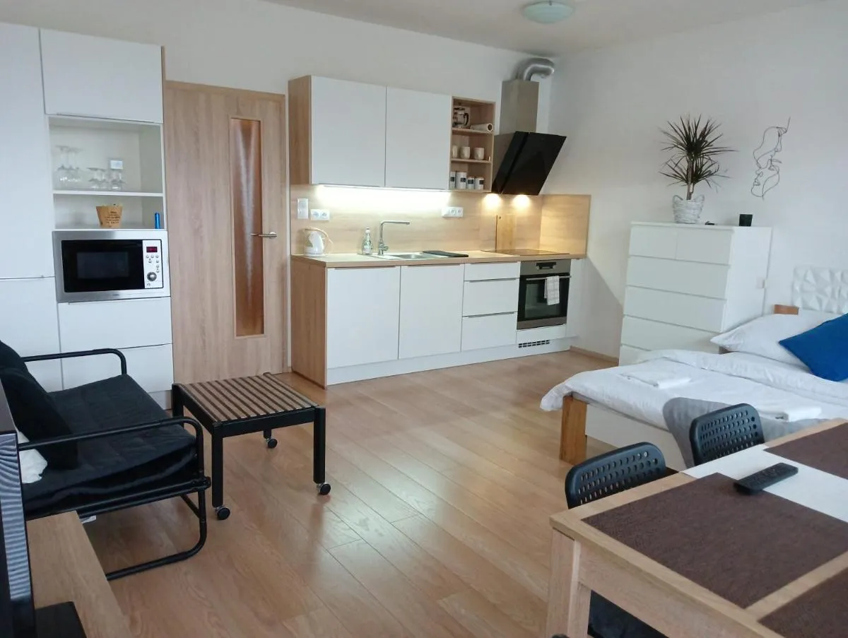 Apartman Bystrc — 3