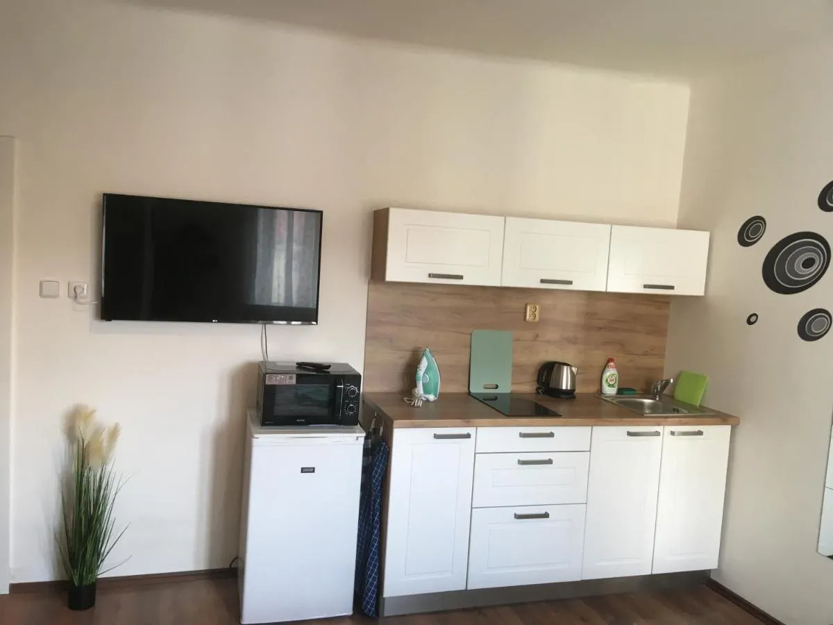 Apartmán Františkánská 5NP — 3