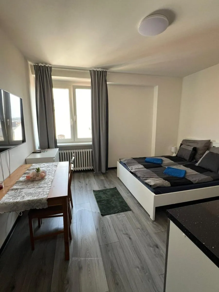 Apartmán Františkánská 5NP — 4
