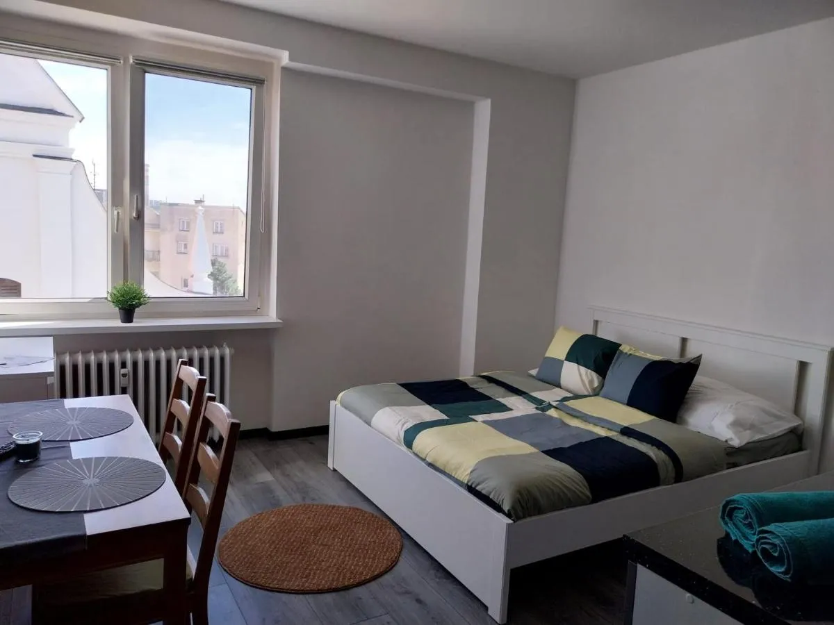 Apartmán Josefská — 5