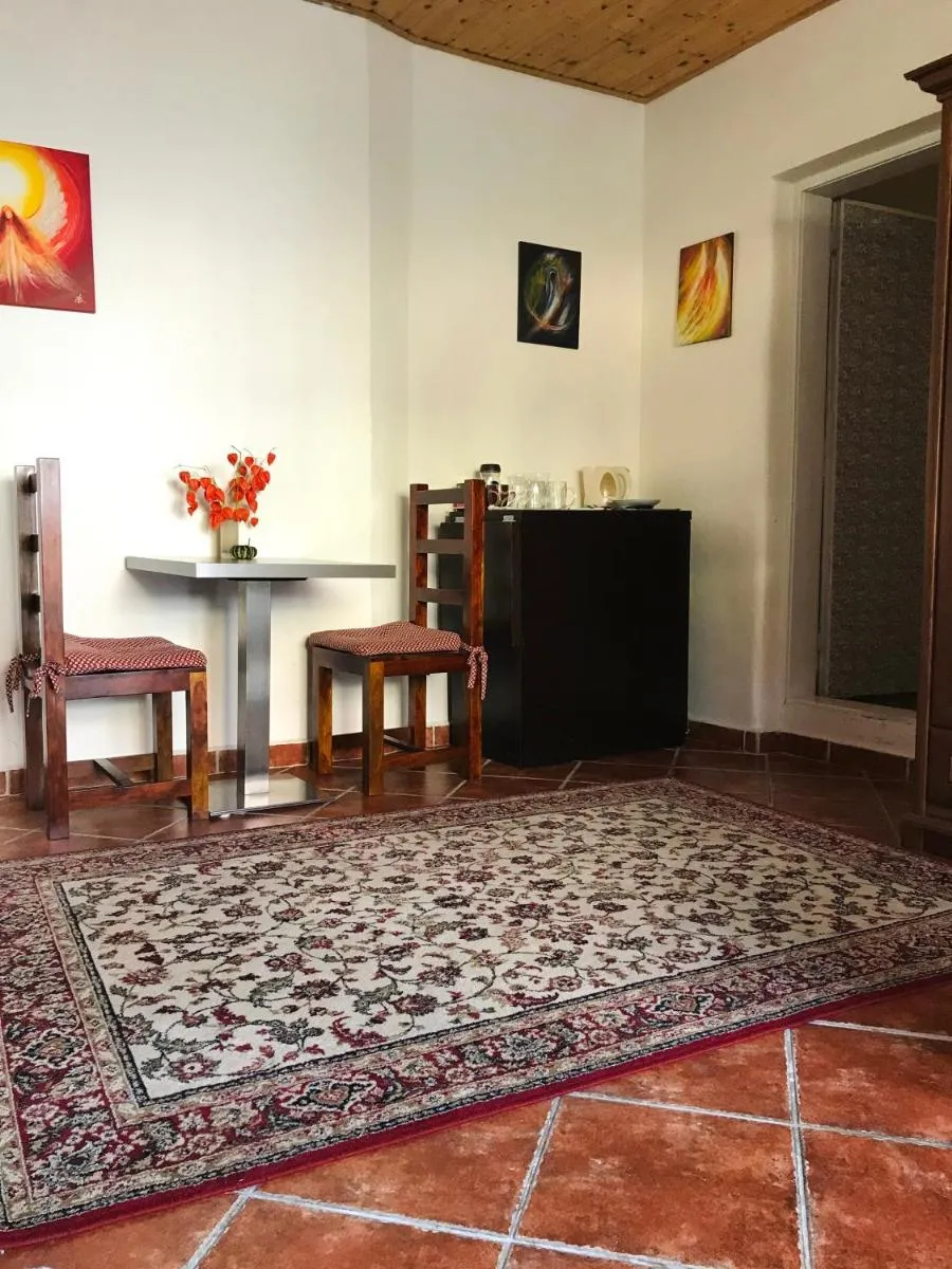 Apartmán Stursovka — 4