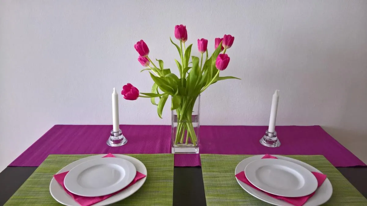 Apartmán Zderadova — 2