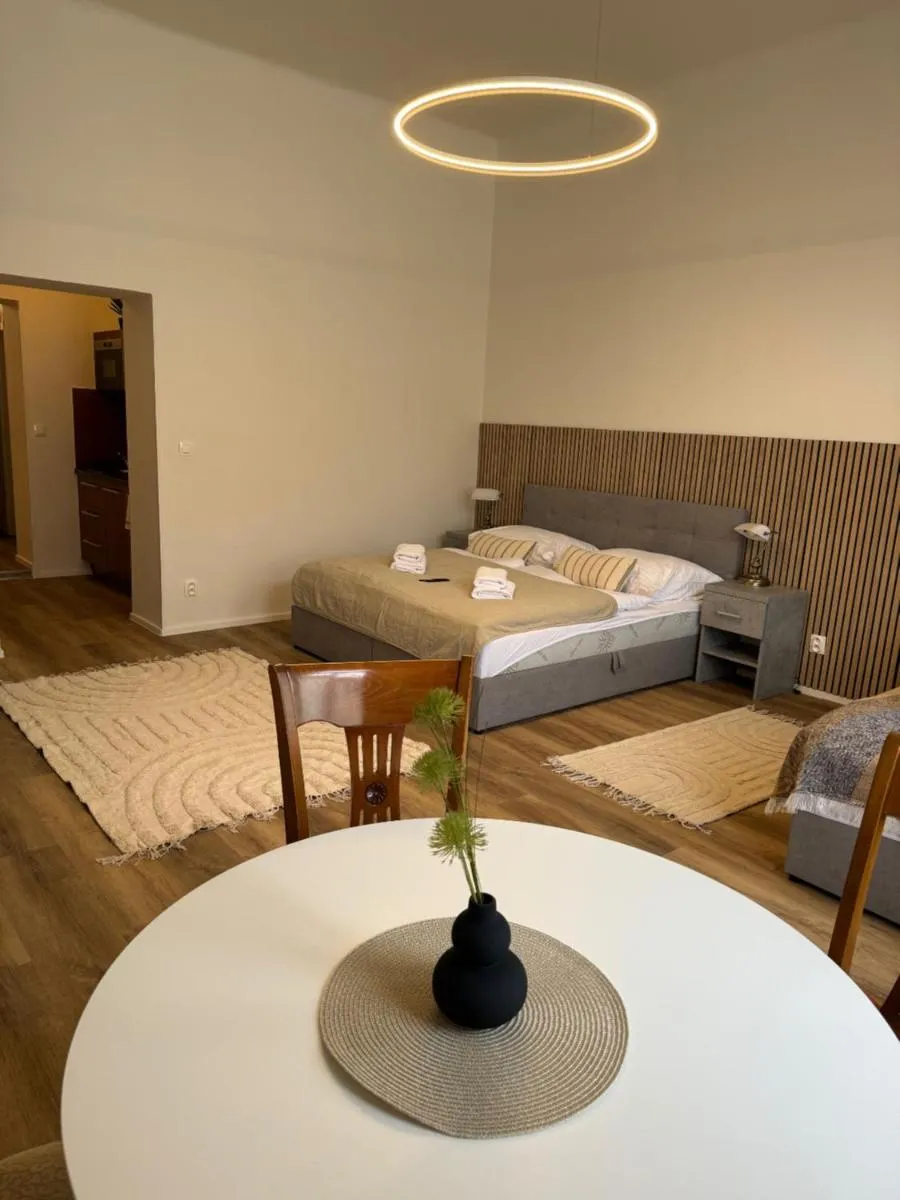 Apartmánový Dům Centrum — 2