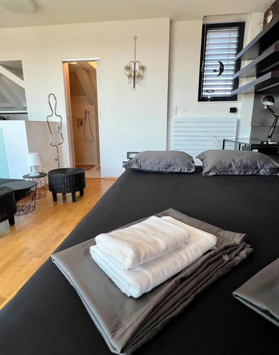 Apartmán se saunou a terasou s výhledem na Brno — 7