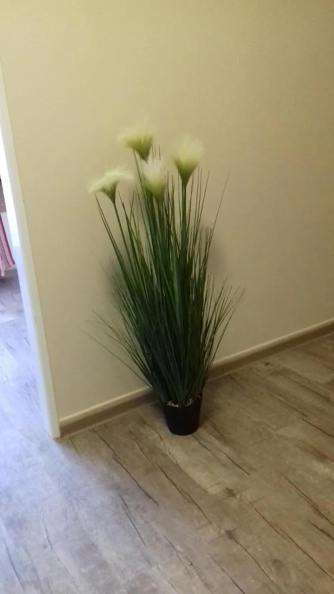 Apartmány Brno — 2