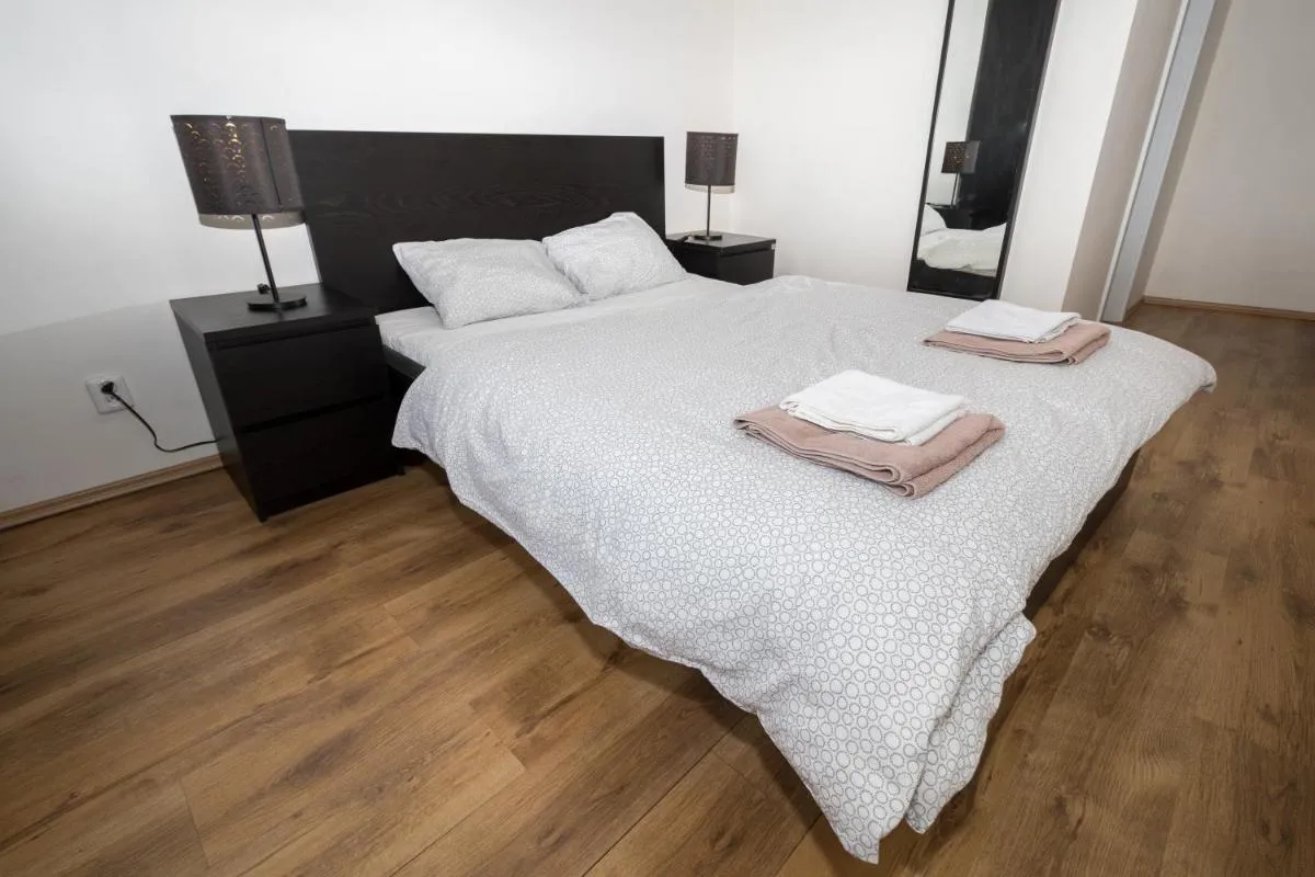 Apartment Belveder Brno — 7