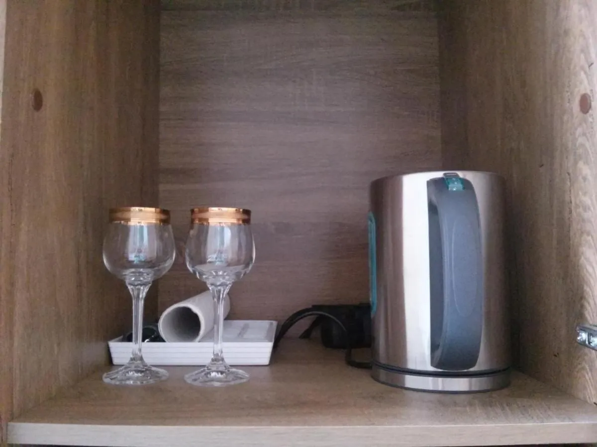 Apartment Belveder Brno — 5