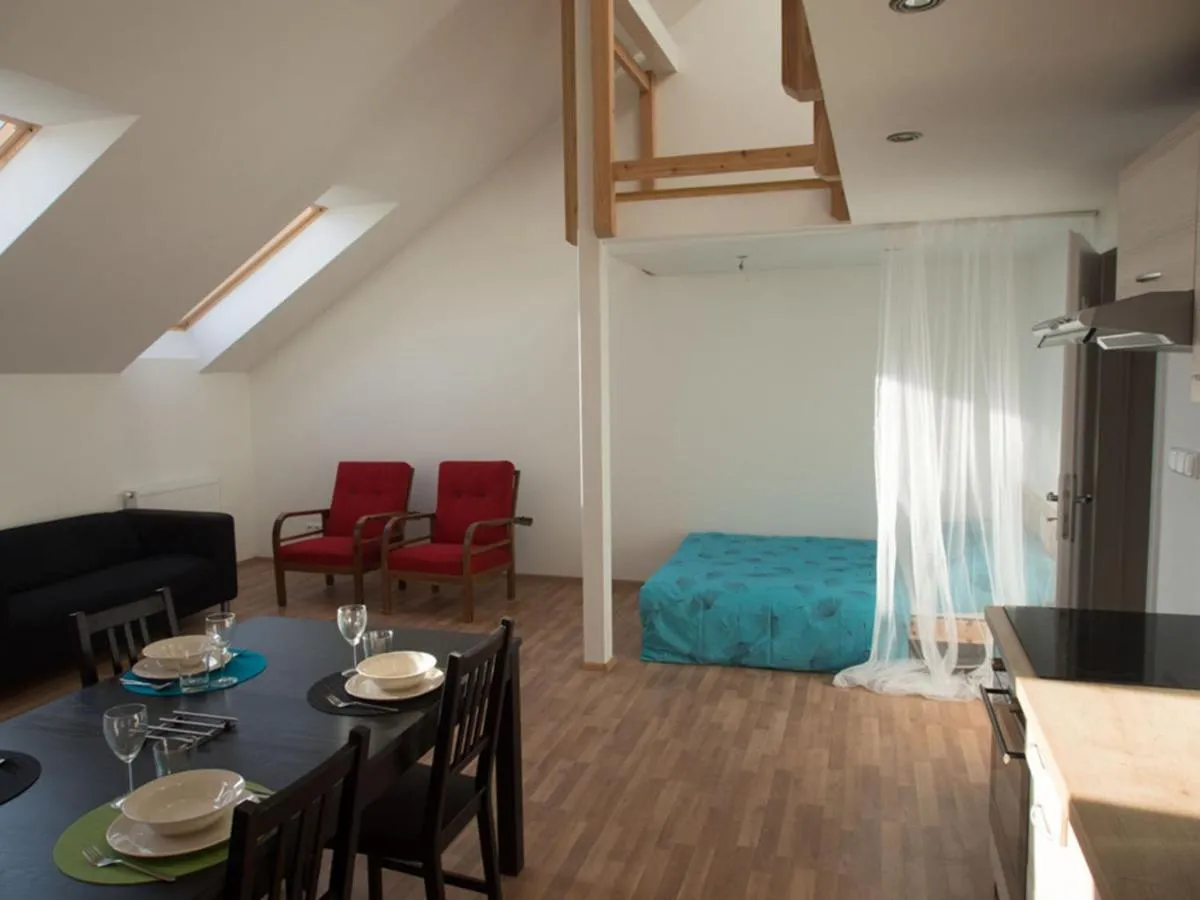 Apartment Brno Reissigova — 5