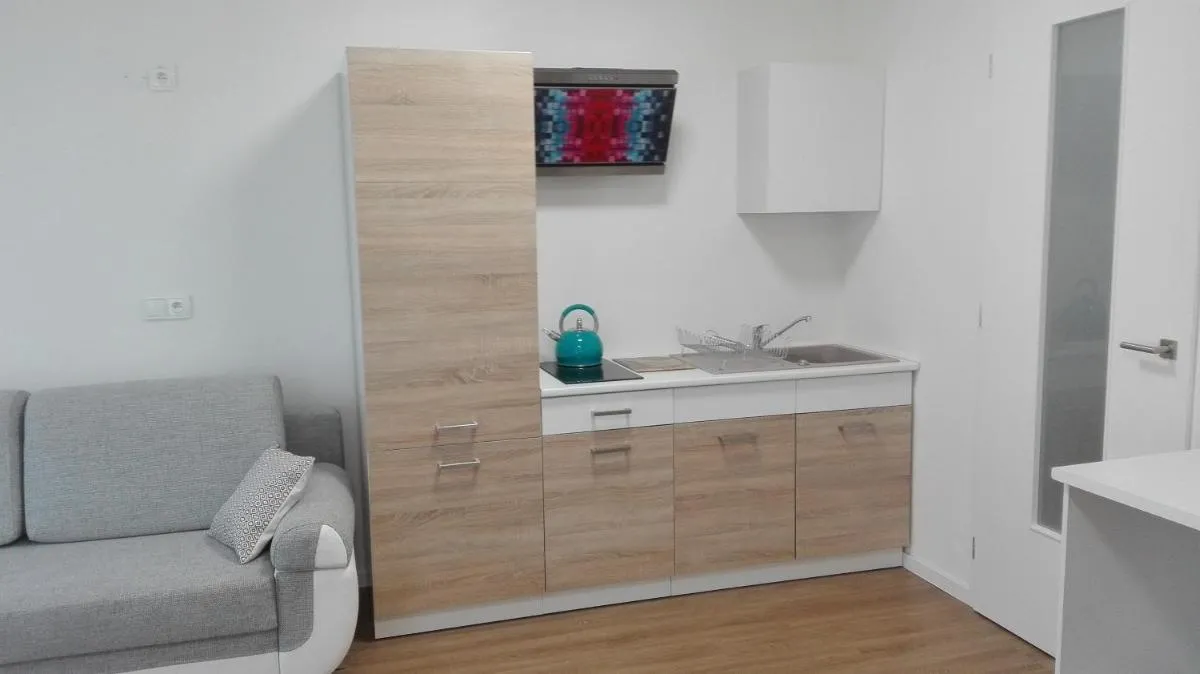 Apartment Brno centrum with private parking — 5
