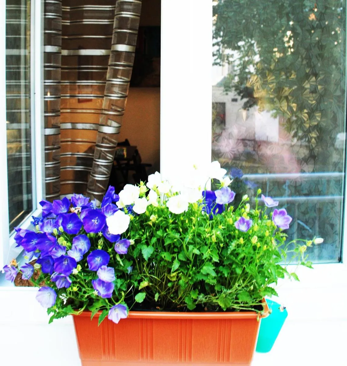 Apartment Vlhka — 4