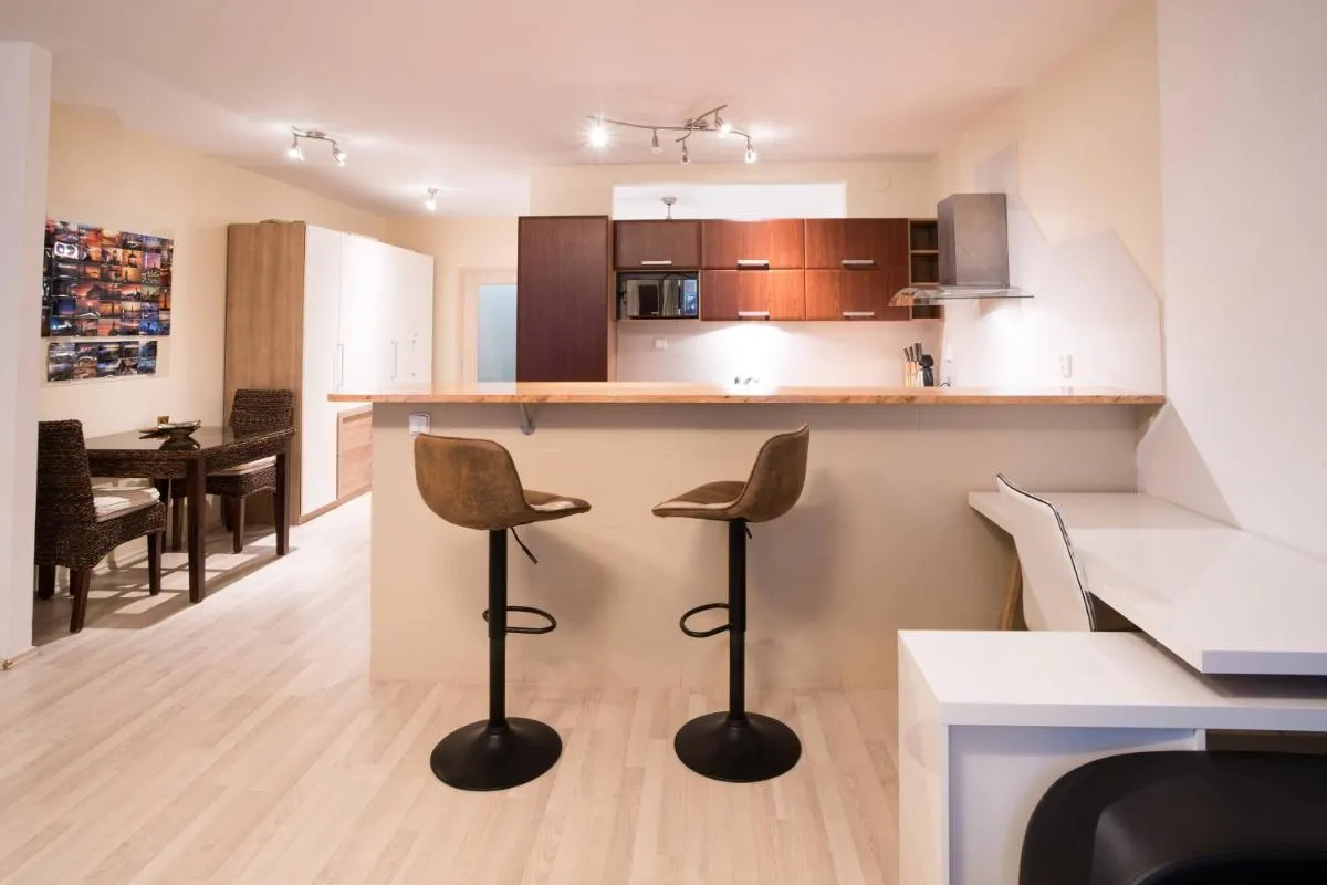 Apartment Vodni with parking — 6