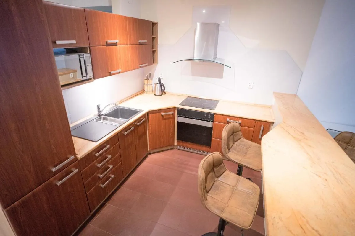 Apartment Vodni with parking — 3