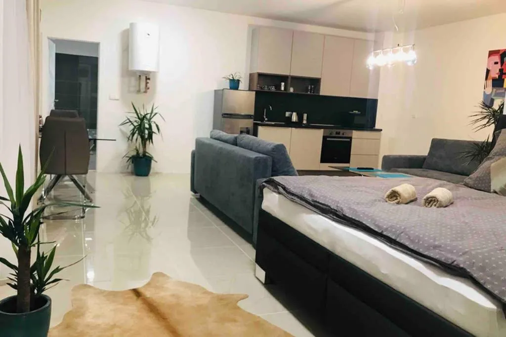 Apartment right in the center of Brno — 2