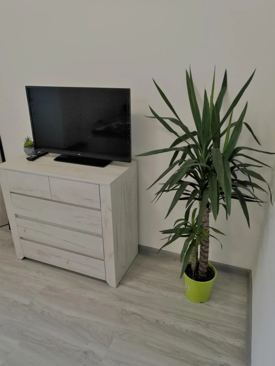 Apartments Brno-center — 7