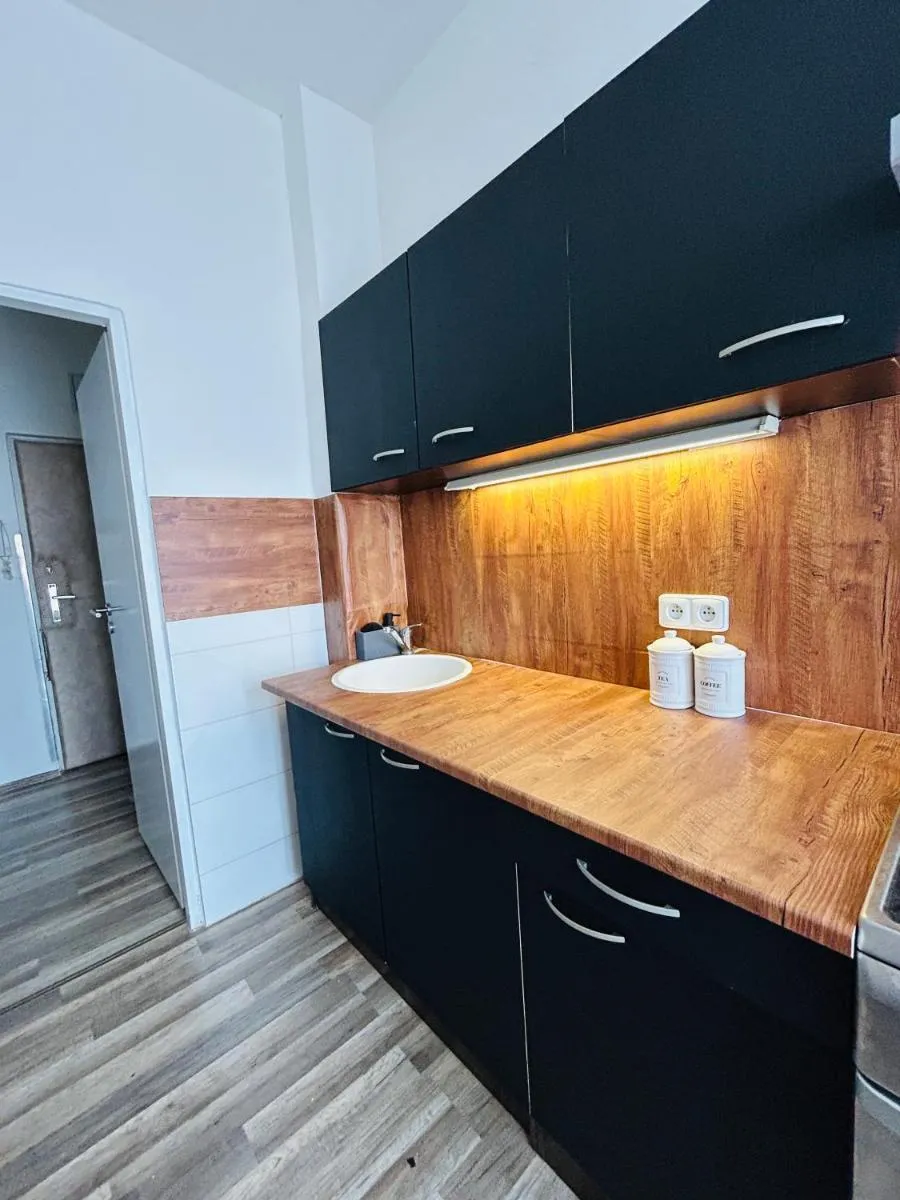 Brno Central Apartment — 6