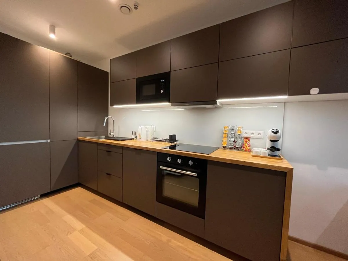 Brno City Center Apartment with parking and a big terrace — 3