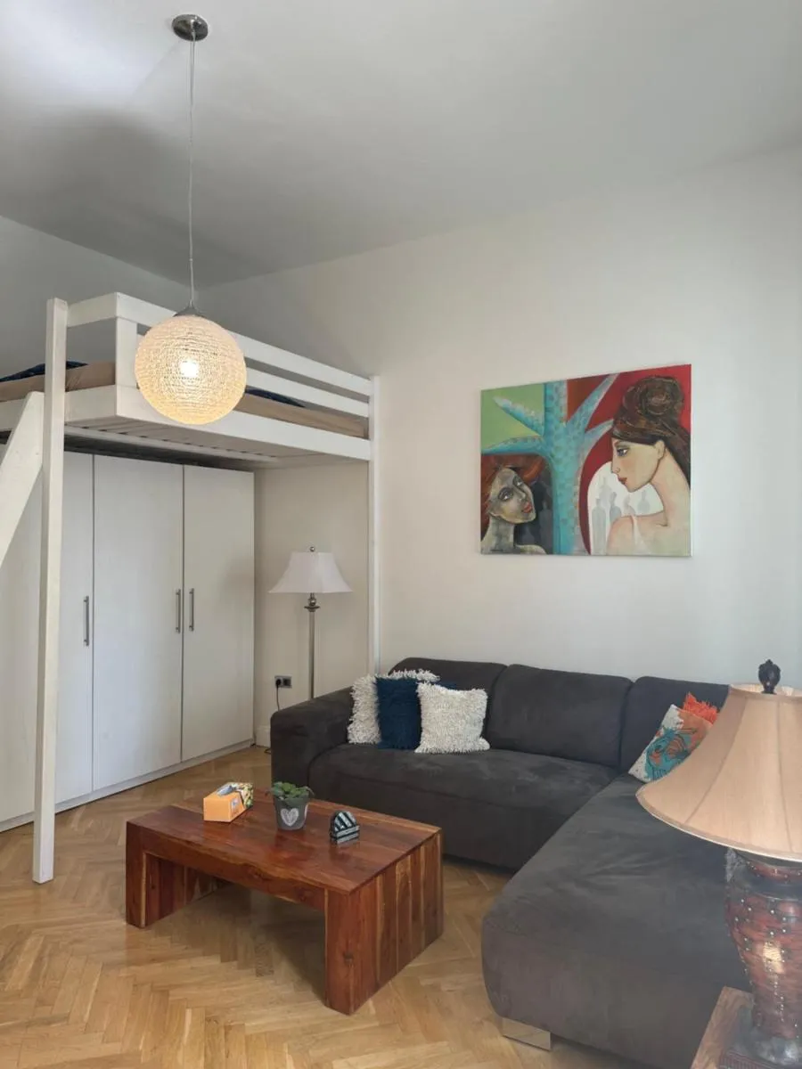 Comfort Apartment Brno-city center — 2