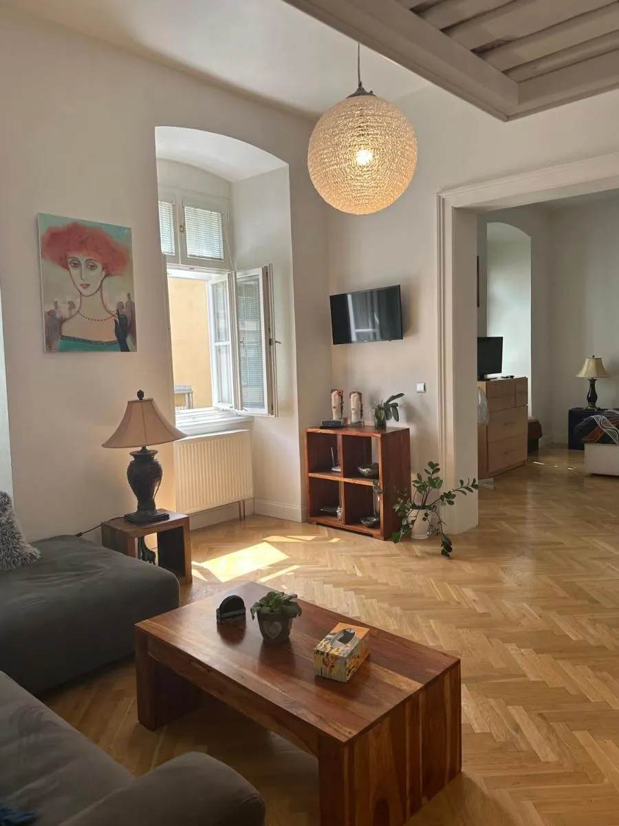 Comfort Apartment Brno-city center — 5