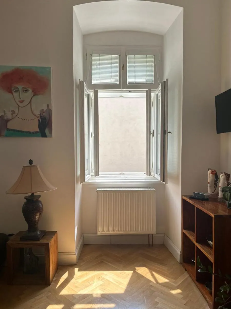 Comfort Apartment Brno-city center — 4