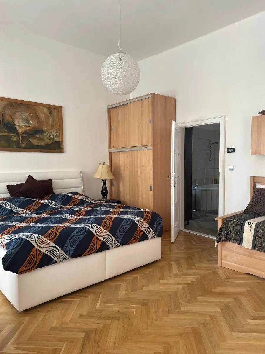 Comfort Apartment Brno-city center — 7