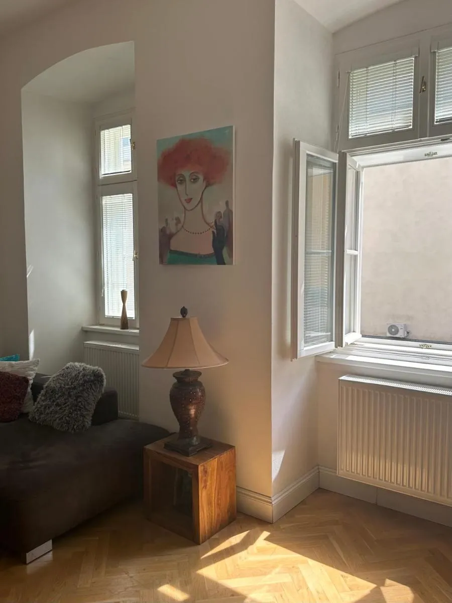 Comfort Apartment Brno-city center — 6