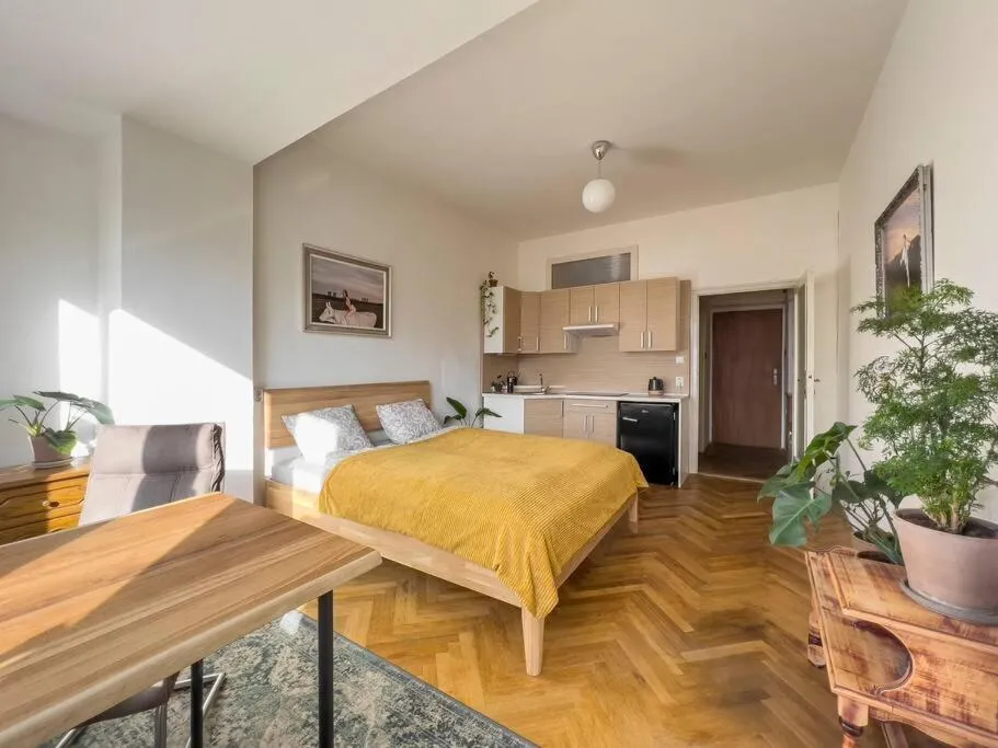 Concept Central apartment — 2