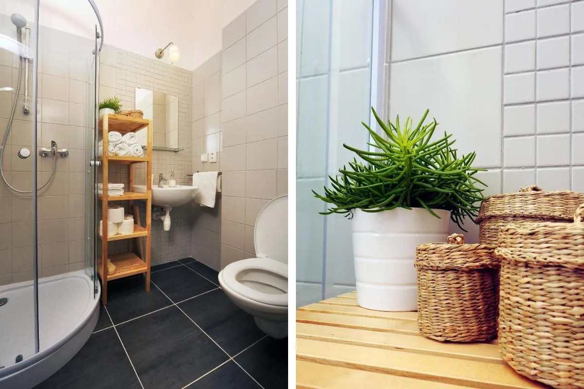 Cosy Design Apartment — 3