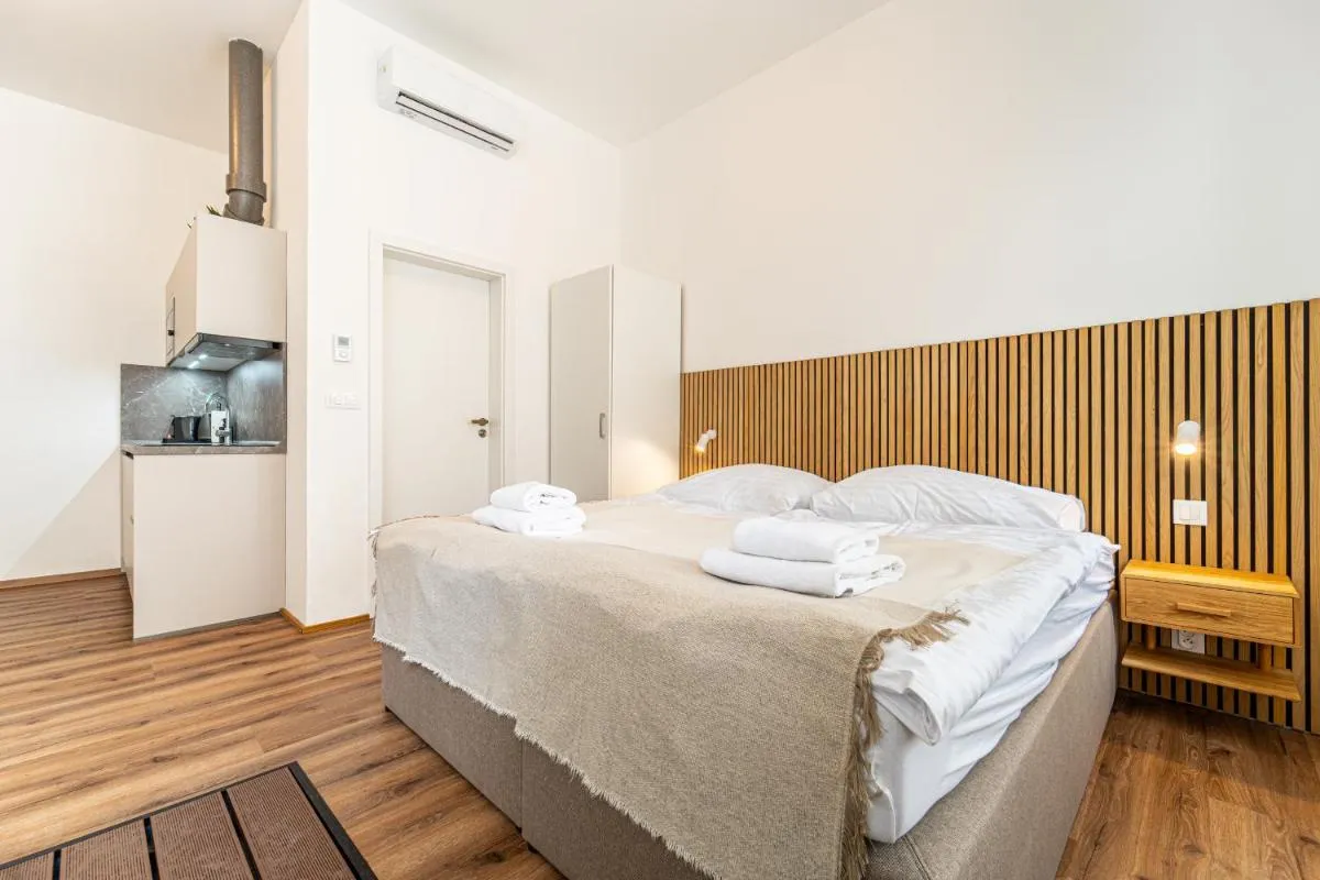 Design Apartments Lužánky — 4