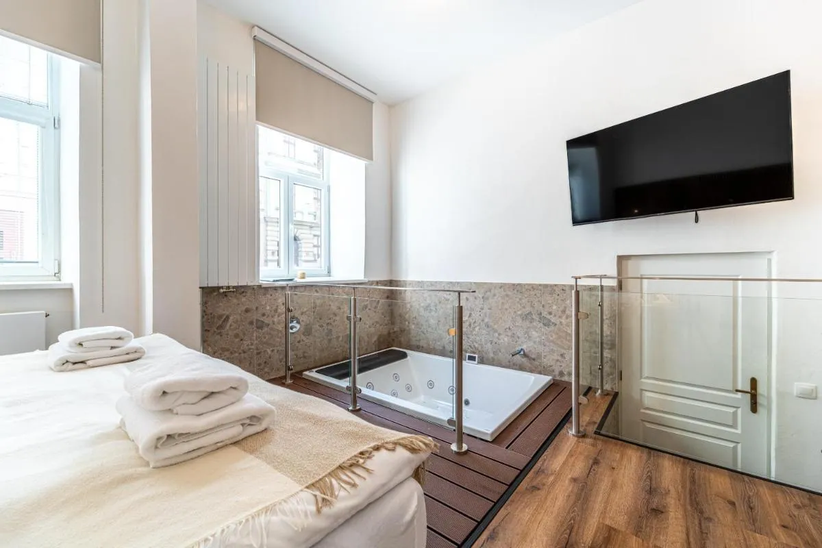 Design Apartments Lužánky — 6