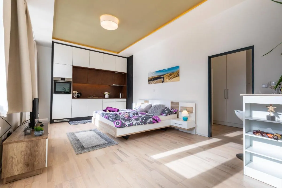 Design apartments Brno-center — 7