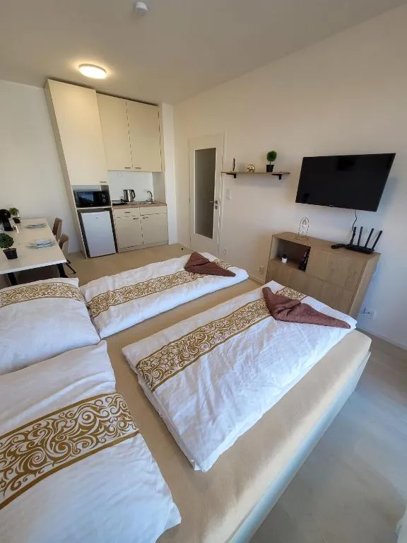 Dream Apartments Brno center