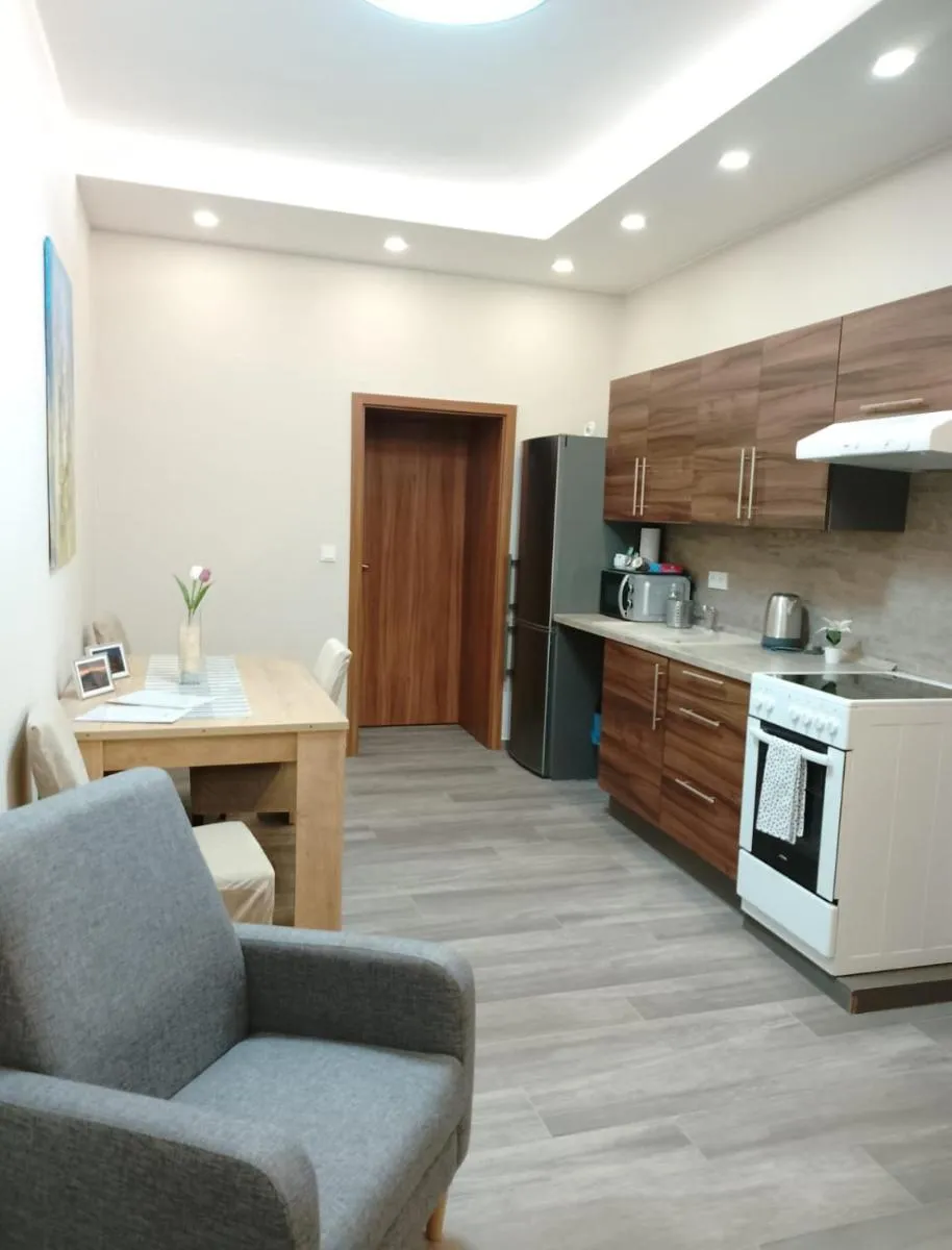 Euro Apartments Křenová 75 Brno — 4