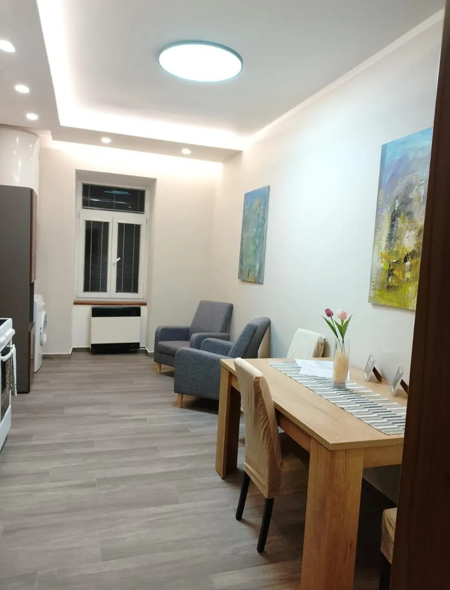 Euro Apartments Křenová 75 Brno — 6