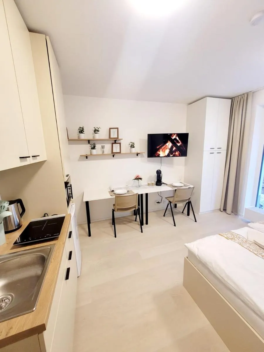 Garden apartment Brno center — 4