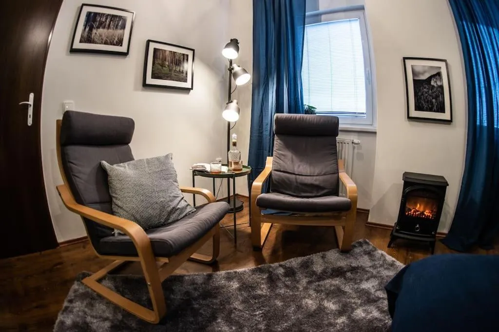Gentlemen’s Apartment near Brno-Center — 5