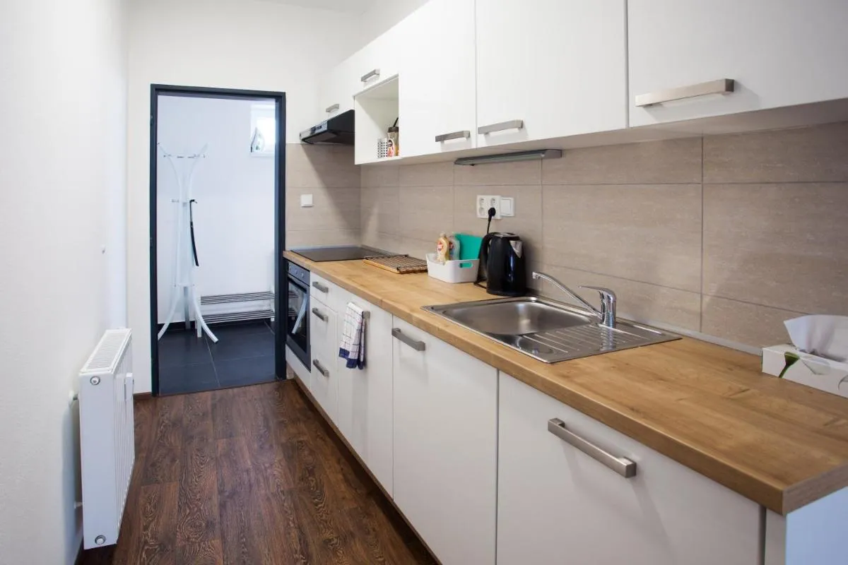 Haas Apartments Downtown with Parking — 7