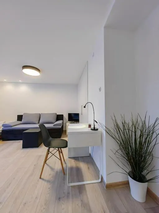 Haas Apartments Slepa, city centre, parking, courtyard — 7
