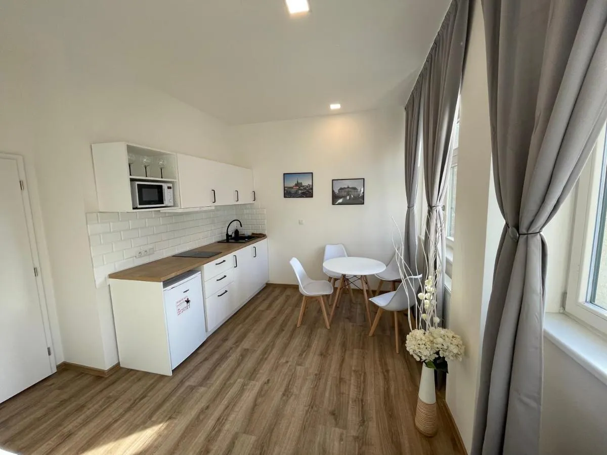 Historic Center Brno Apartment — 4