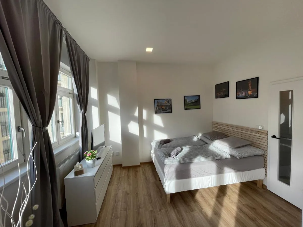 Historic Center Brno Apartment — 2