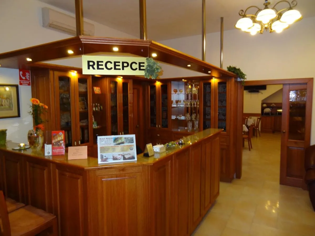 Hotel Pegas Brno — 6