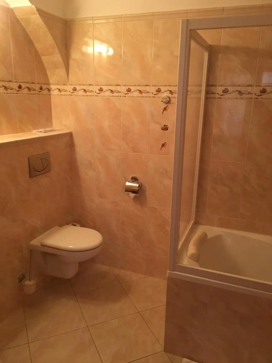 Hotel Pegas Brno — 3