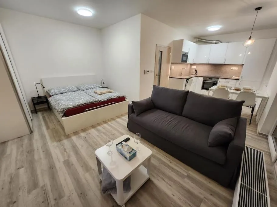 Modern apartment near the center