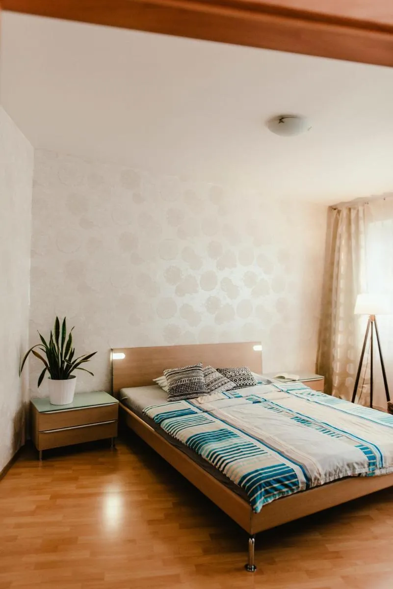 Old Town Apartment Pellicova — 7